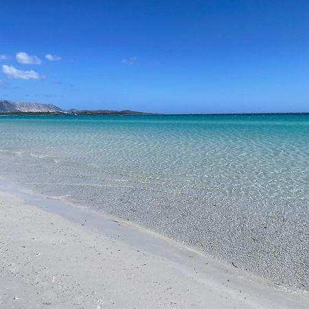 The Villa - San Teodoro سان تيودورو المظهر الخارجي الصورة