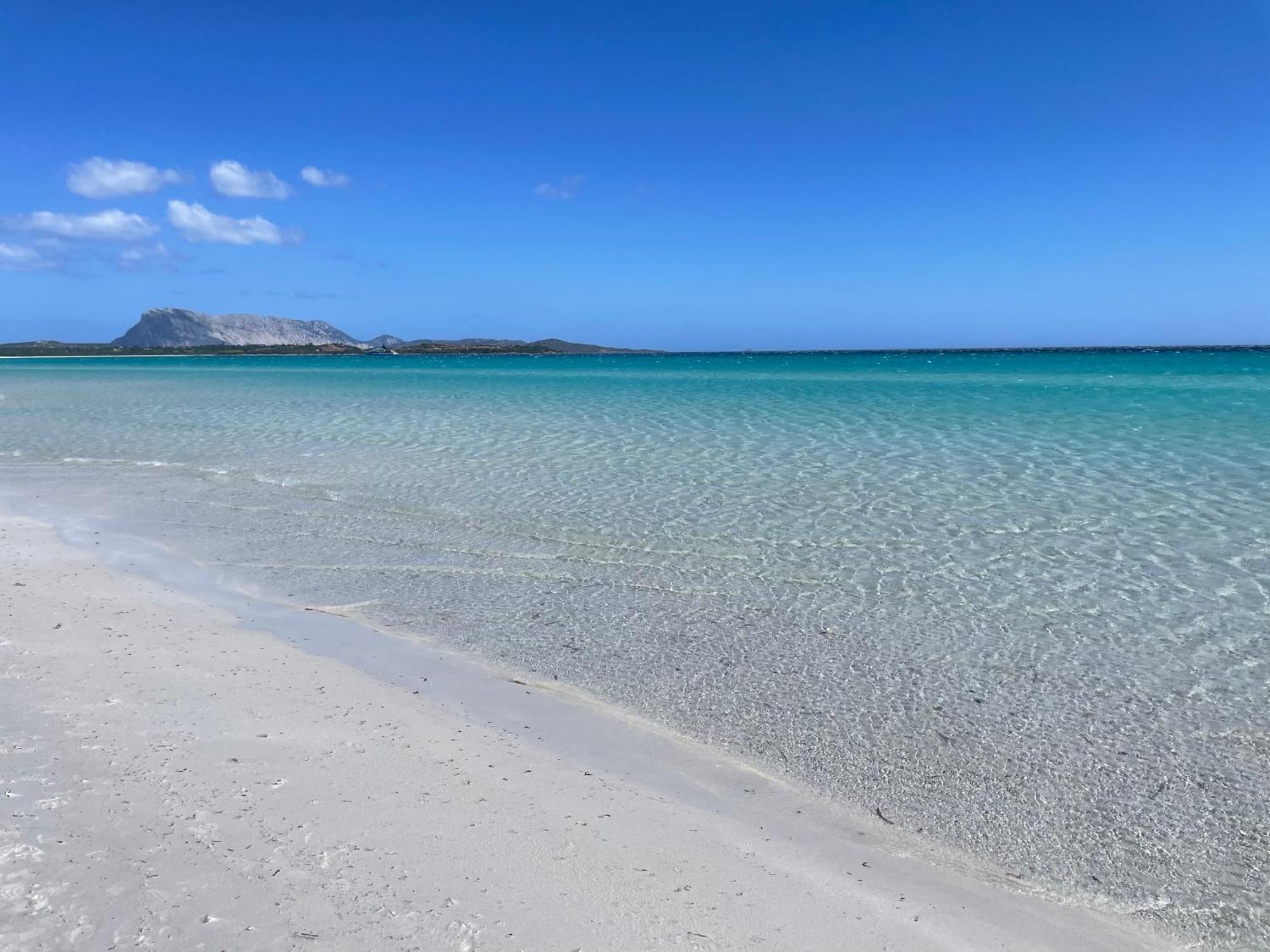 The Villa - San Teodoro سان تيودورو المظهر الخارجي الصورة